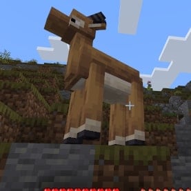 A screenshot of an animal in Minecraft.