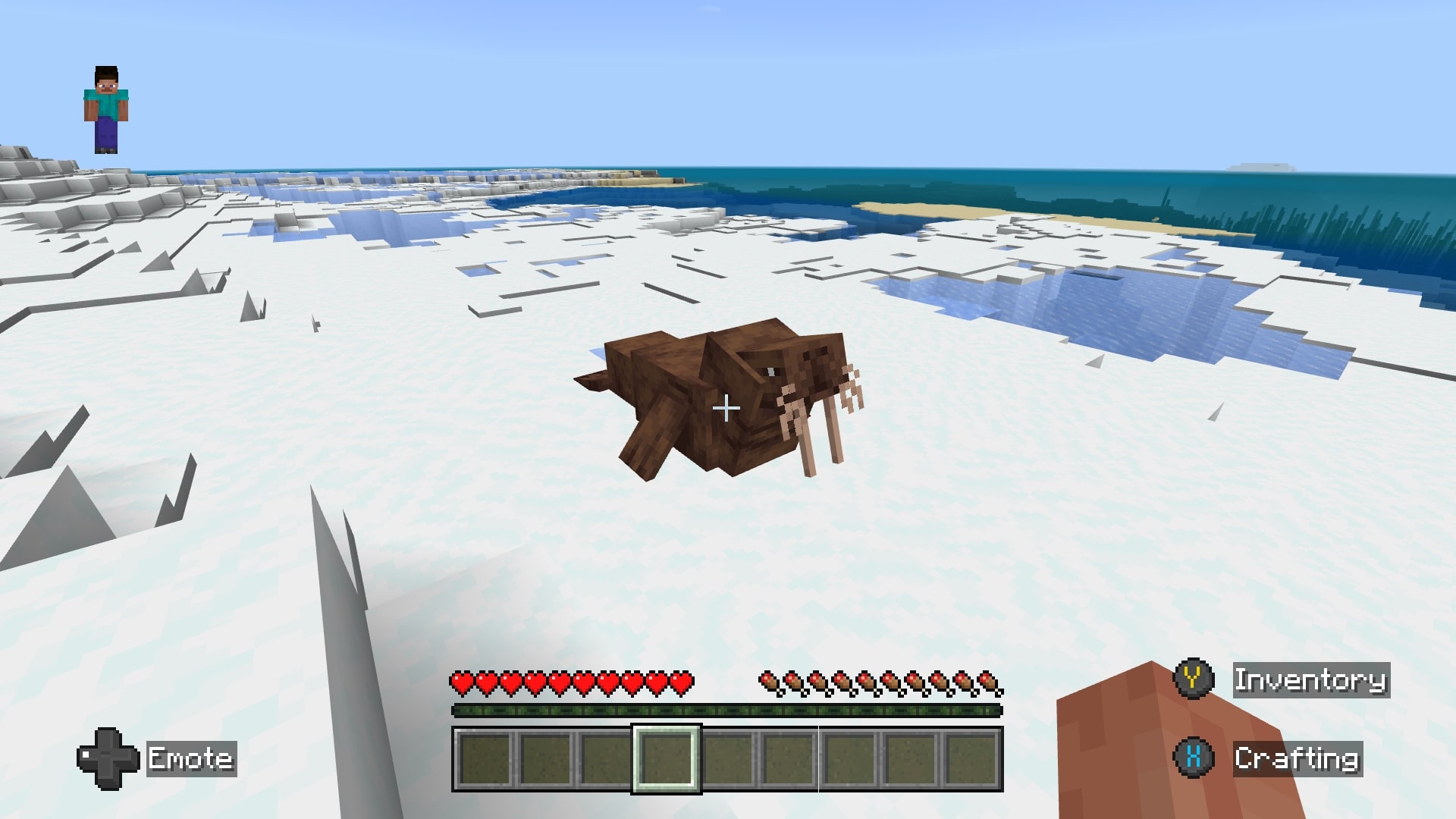 A screenshot of a walrus in Minecraft.
