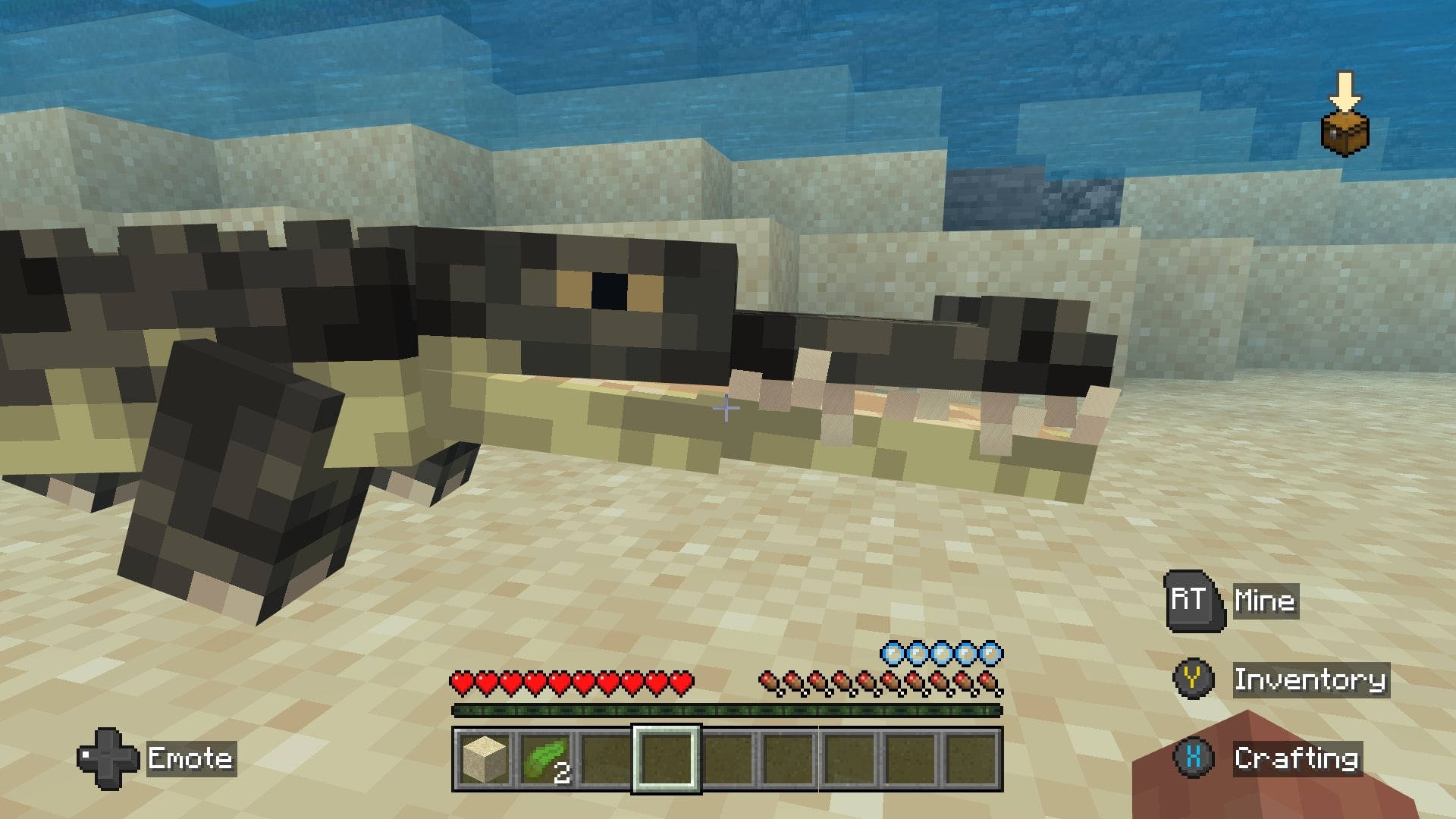 A Minecraft screenshot of an alligator.