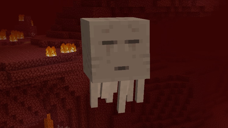 A ghast flying through the Nether.